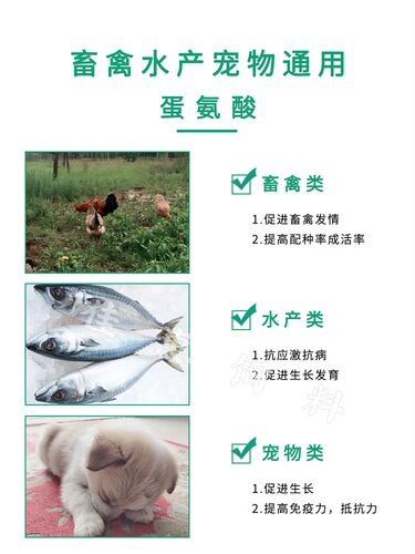99%蛋氨酸饲料添加剂兽用饲料级进口日本住友迪高沙反刍牛羊25KG - 图1