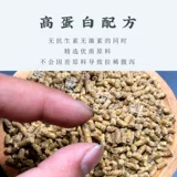 正大 585 Пытающий корм для кормления баранины Специальный корм для корма подающего корма и отколочка для увеличения веса на 80 кот