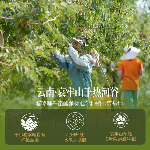 猫哆哩酸角糕酸枣糕云南特产无添加儿童孕妇酸类办公室休闲零食 - 图2