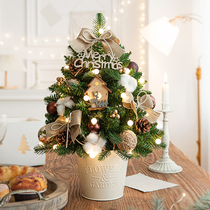 Christmas Tree Home Small 2023 New Desktop Pendulum DIY Material Package Decoration Luxury Encryption PE Christmas