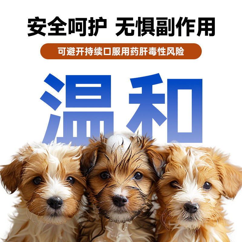 Aolong Xibei medicated bath ringworm, cat moss, fungus and bacteria special