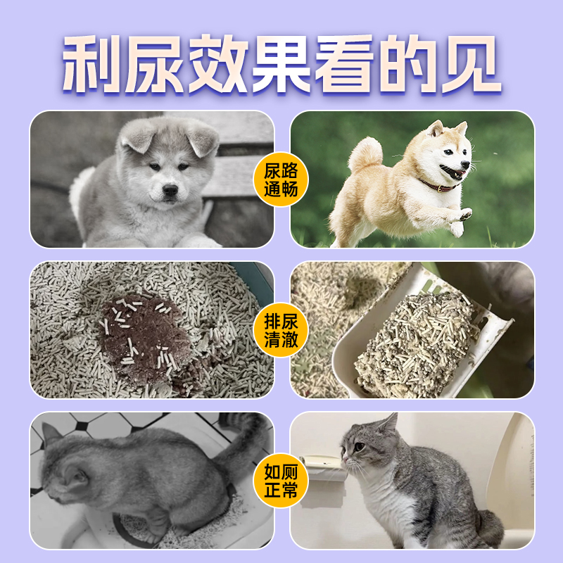 宠医到猫咪利尿通猫尿闭尿血尿频结石排石消炎宠物狗狗泌尿系统药