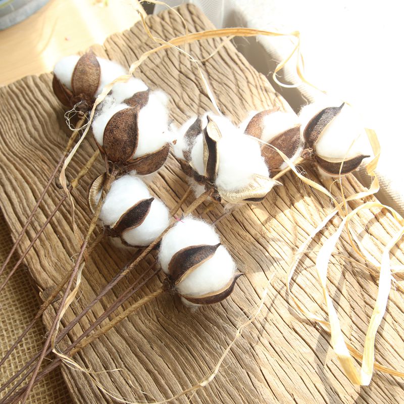 棉花干花花束永生花拍摄道具网红摆件公寓装饰木棉花假花仿真棉花高清大图