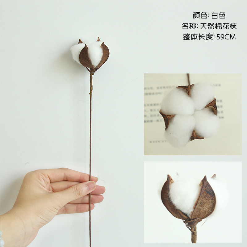 棉花干花花束永生花拍摄道具网红摆件公寓装饰木棉花假花仿真棉花高清大图