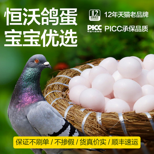 浙江鸽子蛋新鲜30枚恒沃正品15年老店农家杂粮散养新鲜白鸽蛋30个 - 图0