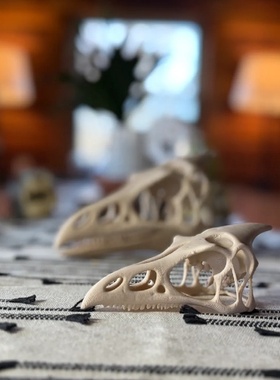 翼龙头骨化石3d打印ins爬宠沙漠缸陆缸场景道具摆件家居氛围道具