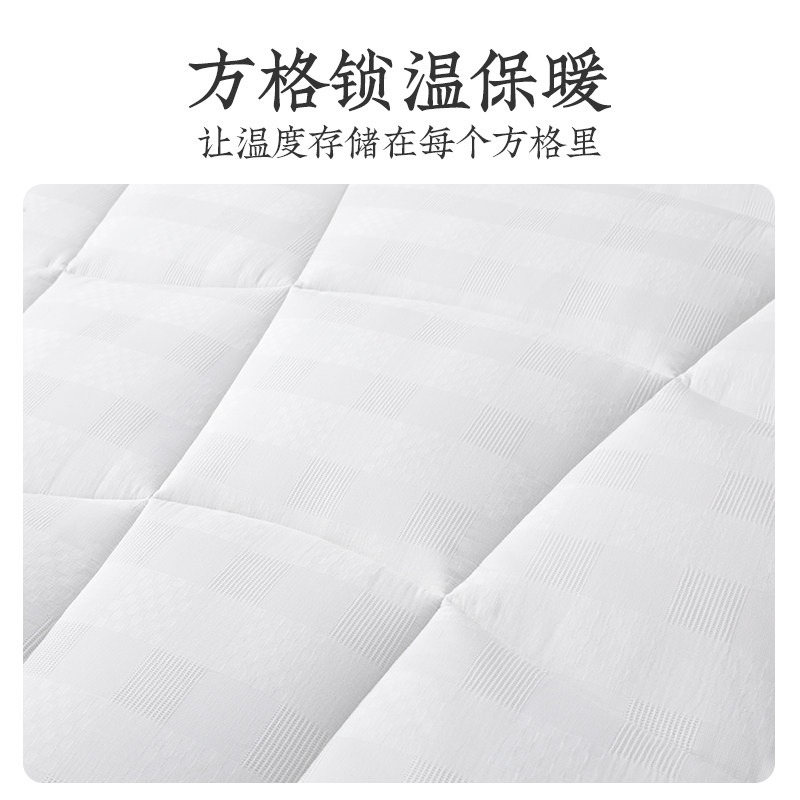 远梦被子家纺冬被澳洲羊羔毛被2m加厚保暖冬季被芯进口羊毛被,淘宝优惠券,粉丝福利购,淘宝优惠卷