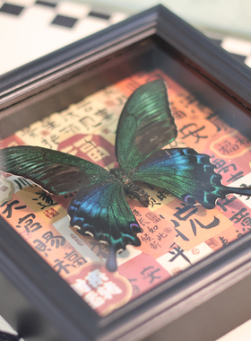 平安喜乐新年礼物绿带翠凤蝶蝴蝶标本书架摆件展示画框真蝴蝶装饰