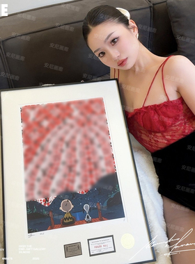 史努比花生漫画红色南瓜印花限量安尼画廊电表箱装饰画2026新款