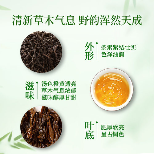 正山堂正山小种野茶红茶特级野生红茶茶叶礼盒装正宗罐装送礼长辈 - 图0
