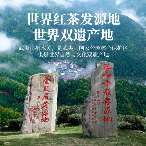 正山堂妃子笑红茶正山小种红茶特级浓香型罐装茶叶礼盒装送礼长辈 - 图1