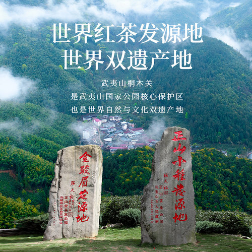 正山堂骏眉红正山小种红茶特级正宗蜜香罐装茶叶礼盒装送礼长辈 - 图1