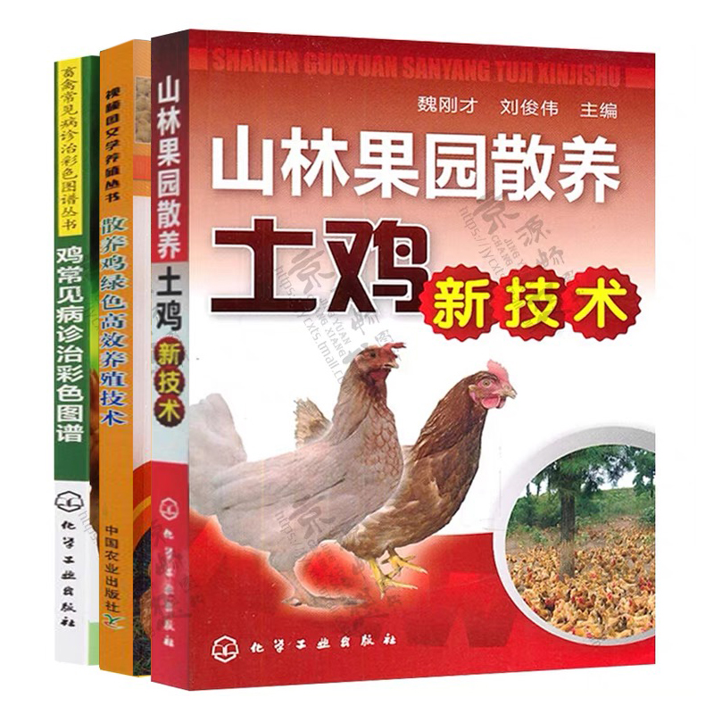 养鸡技术书 山林果园散养土鸡新技术+散养鸡饲养管理+鸡常见病诊治彩色图谱与安全用药 鸡饲料配方 养鸡技术大全 养鸡书籍 - 图0