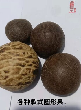 可做2-2.5厘米小原料有限象牙果