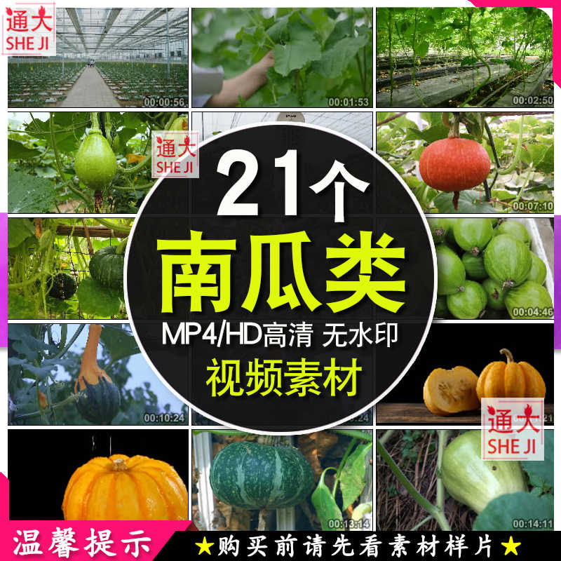 南瓜開花 新人首單立減十元 22年10月 淘寶海外