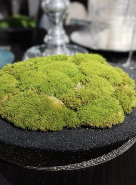 进口花盆苔藓盆景微景观室内桌面绿植禅意植物迷你盆景