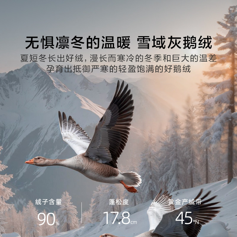 罗莱羽绒被子厚冬被宿舍超柔可水洗提花A类鹅绒结婚加厚保暖冬被,淘宝优惠券,粉丝福利购,淘宝优惠卷