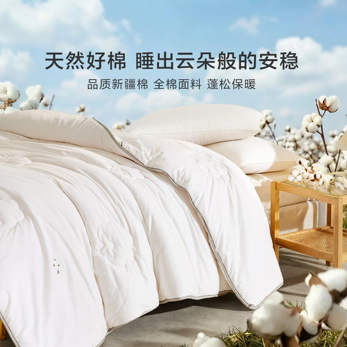 罗莱家纺棉被子被芯100%新疆全棉棉花春秋被四季通用夏凉被空调被 - 图3