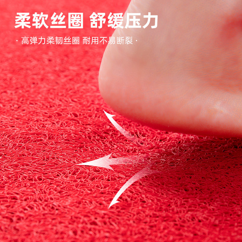 地垫入户门垫2026新款马年红色丝圈耐脏大门口脚踏垫门外玄关地毯,淘宝优惠券,粉丝福利购,淘宝优惠卷
