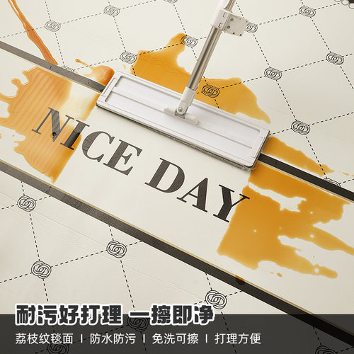 入户门地垫2026新款耐脏免洗可擦pvc门垫门口进门脚垫可裁剪地毯 - 图2