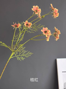 手感单枝小野菊雏菊洋甘菊造景插花家居样板间室内外装饰摄影道具