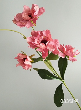 4头轮风菊醉芙蓉家居客厅餐桌样板间装饰摄影直播拍照道具仿真花