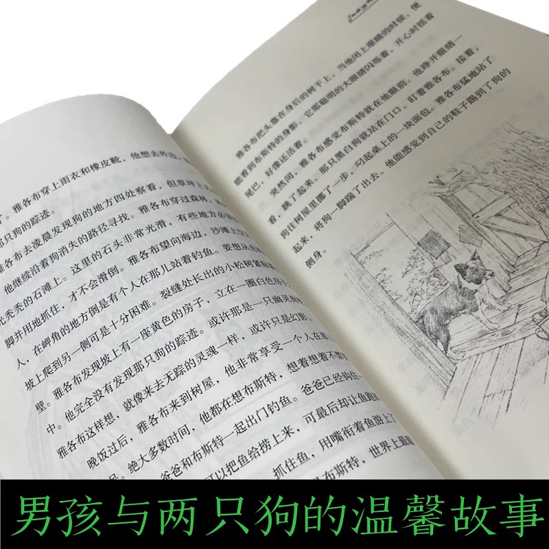 现货正版《寻狗启示》《远山如黛》百班千人55期四年级共读套装4年级百班千人名师推荐课外阅读