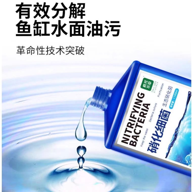 疯狂水草消化细菌鱼缸用净水稳定剂养鱼净化分解鱼粪高级感清水剂 - 图0