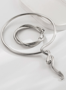 和鸣新款时尚大气夸张高级感项链手环套装女高级感蛇形金属感饰品