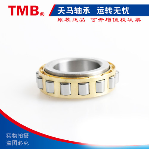 TMB天马减速机偏心轴承RN205 206 207 219 222  307 308 309 312M - 图2