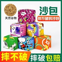 Elementary school childrens kindergarten drops sandbag game props knit canvas cartoon throwing sandbag sports class training