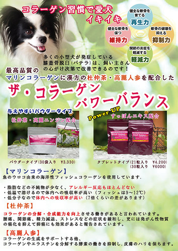 日本进口EDOG JAPAN 胶原蛋白粉 The Elixir of Life皮肤软骨再生 - 图1