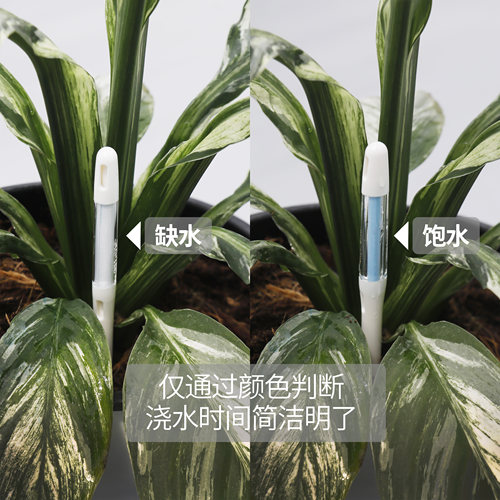 活性保持/花信水分子计 土壤湿度检测仪 缺水提醒新手浇水助手 - 图2