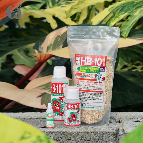 活性保持/HB101 植物生长活力素天然营养液活力液缓释肥 - 图1