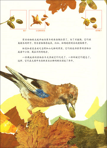 一粒种子的旅行儿童绘本小学一年级二三四年级课外书阅读故事南海出版社正版爱心树一颗种子的小旅程1得2馆非注音版硬壳 - 图3