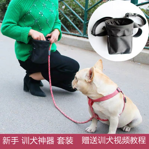 训练宠物狗狗腰包零食袋驯犬响片耐咬球飞盘训狗用品工具神器教程 - 图2
