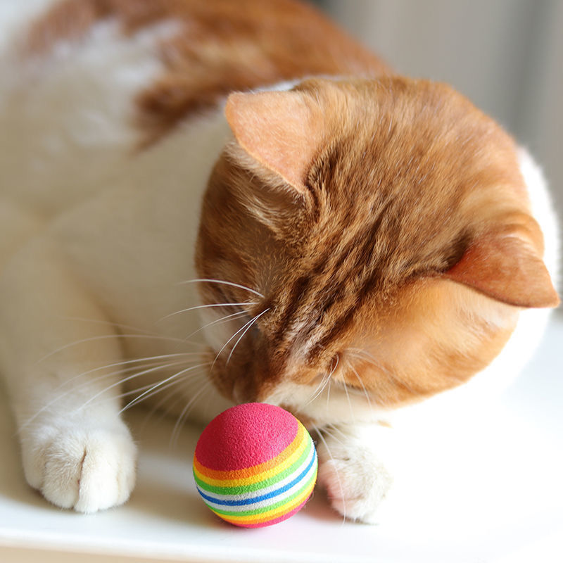 猫咪球类玩具猫 球用品宠物小狗彩虹球啃咬静音球EVA实心球逗猫球