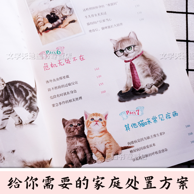 宠物猫常见问题家庭处置及护理 养猫的书新手宠物猫问题解答处理的书猫咪呕吐生病不愿意剪指甲怀孕猫咪护理患上疾病意外受伤