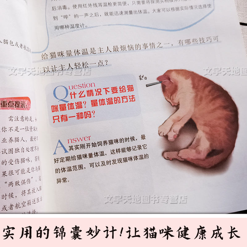 宠物猫常见问题家庭处置及护理 养猫的书新手宠物猫问题解答处理的书猫咪呕吐生病不愿意剪指甲怀孕猫咪护理患上疾病意外受伤