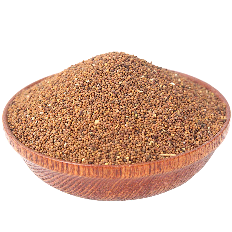 紫苏子 白芥子 菟丝子 莱菔子 吴茱萸中药材原材组合热敷 各10克 - 图2