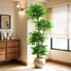 Simulated green plant happiness tree living room large potted indoor light luxury decorative flower bionic plant floor-standing ornament fake tree