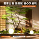 Simulated plant landscaping maple interior decoration