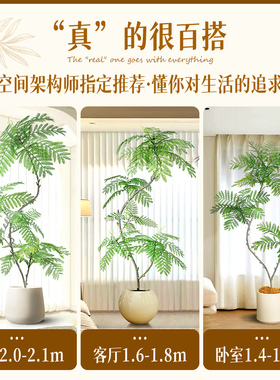 【博主推荐】家装新宠仿真蓝花楹