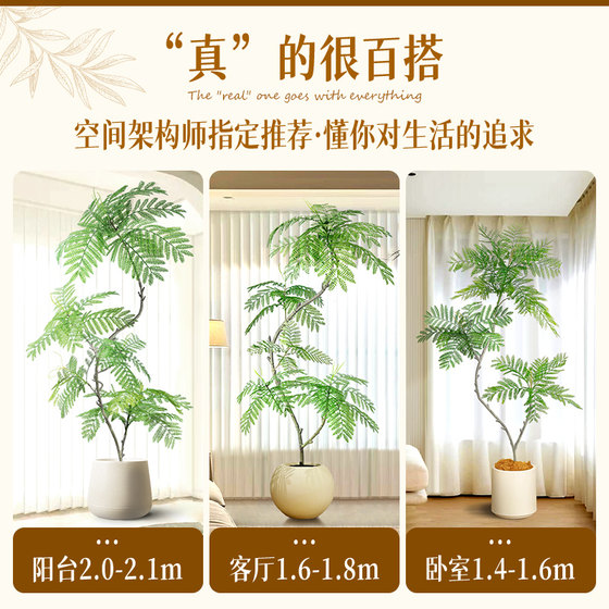 The new favorite in home decoration, simulated jacaranda