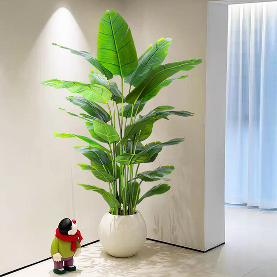 Large living room floor-standing ornaments, indoor sofa, TV cabinet next to fake plant, traveler banana, bird of paradise, simulated green plant