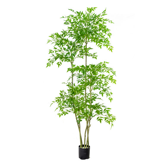 Floor-standing ornaments, home accessories, TV cabinet, Nandina bamboo