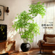 Simulated plant nandina floor-standing potted plant indoor large bionic green plant ornaments living room light luxury decoration fake tree