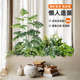 Indoor small simulated green plants and landscaping simulated flowers