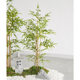 Simulated bamboo interior decoration partition screen retaining wall