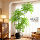 Simulated plant nandina floor-standing potted plant indoor large bionic green plant ornaments living room light luxury decoration fake tree